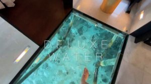 Кормлю акул в отеле Lily Beach Resort & Spas 5, детальный обзор после карантина, Мальдивы 2020