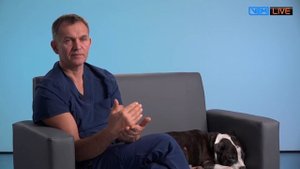 Опухоли у кошек . Рак у кошек.