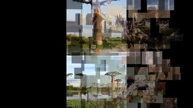 Фантазия природы безгранична смотреть онлайн