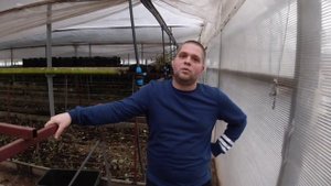 Цветочный бизнес.На чём больше прилипает,а от каких культур лучше отказаться