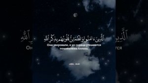 Чтец: Мухаммад аль-Люхайдан Сура: Ар-Раад | Гром Аяты: 28