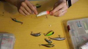 Топ 10-ти лучших не дорогих воблеров по версии InterFish