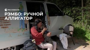 Рэмбо: ручной аллигатор