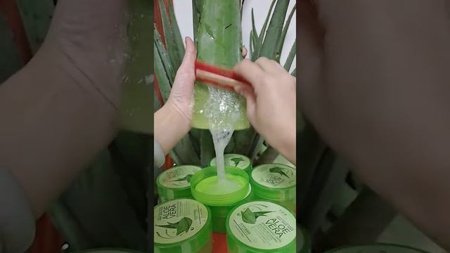 ASMR ALOE VERA CHALLENGE Jel, Crunchy SOUNDS NO TALKING   Best ASMR 35