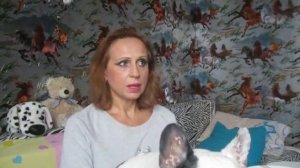 Нашему французскому бульдогу 10 Лет! Сколько лет живут французские бульдоги?