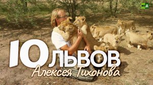 Десять львов Алексея Тихонова