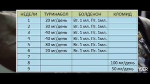 КУРС НА СУХУЮ МАССУ. Туринабол + Болденон. КАЧЕСТВЕННАЯ МАССА. ПКТ КЛОМИД