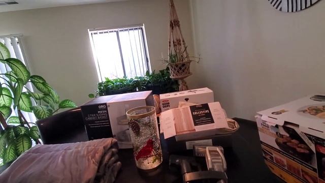 DUMPSTER DIVING | JACKPOT AT BED BATH & BEYOND| VLOGMAS DAY 3 смотреть онлайн