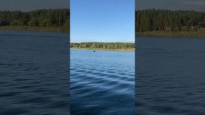 Лодка Хантер 335 Лайт с мотором Меркури 5 2018 года. Быстро вышли на глиссирование с младшим сыном.