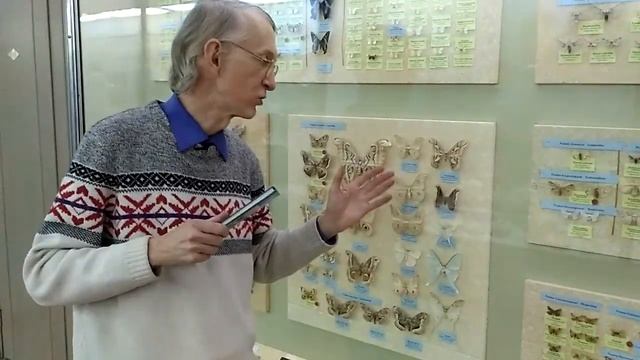 Почему Бабочки Такие Красивые? Коллекция Бабочек в Музее. Collection of Butterflies, Kiev, Ukraine.