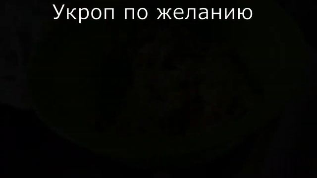 Как приготовить самые вкусные в мире овощные котлеты?