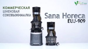 Коммерческая соковыжималка Sana Horeca EUJ-909. Уникальный тест на 10 кг продуктов!