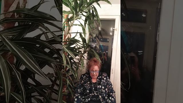 Кальней Валентина Алексеевна, д.п.н., профессор смотреть онлайн