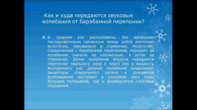 Слуховой анализатор.  Урок биологии. смотреть онлайн