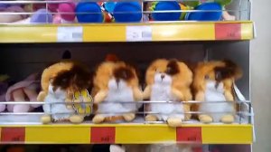 детский мир