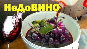 ВИНО ИЗ СИРОПА. Груша, Яблоко, Виноград!