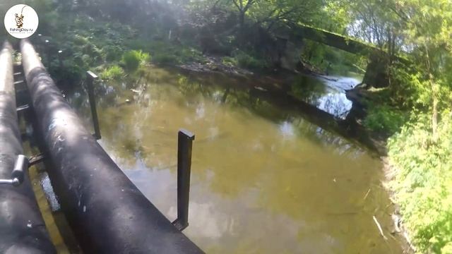 Майский стритфиш на Пехорке смотреть онлайн