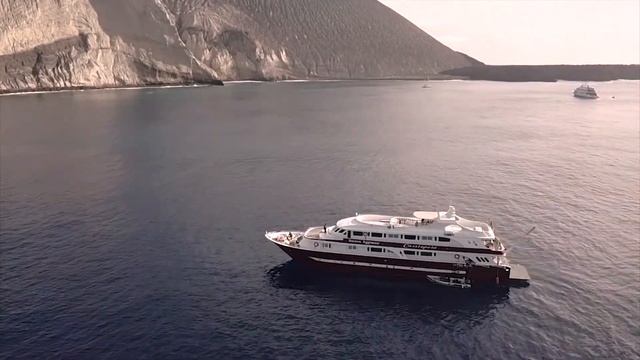 Socorro Aggressor - Mexico liveaboard смотреть онлайн