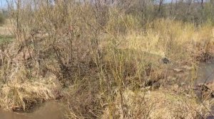 поездка на реку Урюк 2018