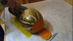 Тыква мускатная в разрезе.