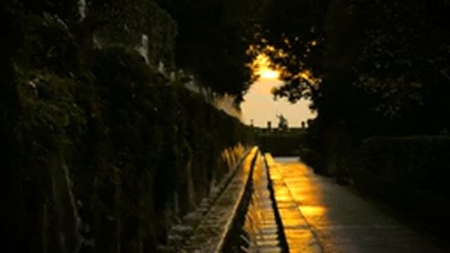 ??Поток воды, шум леса и пение птиц для сна и медитации? смотреть онлайн