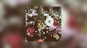 and when i'm back in chicago i feel it | end of beginning - djo (sped up + reverb)