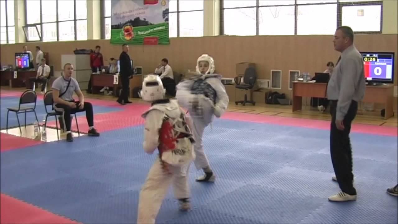 Taekwondo WTF. Турнир клуба Беркут. 03.11.2013 Солнцев-Горбачев