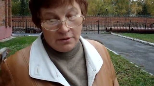 За введение льготного студенческого проездного смотреть онлайн