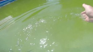 Опыт использования каркасного бассейна Intex. Отзыв реального владельца