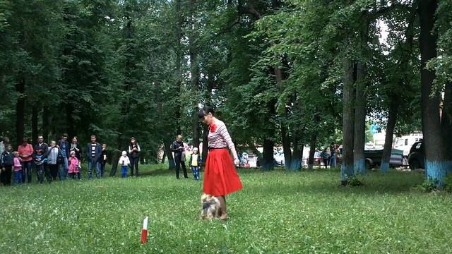 Замечательный сосед, танец с собакой смотреть онлайн