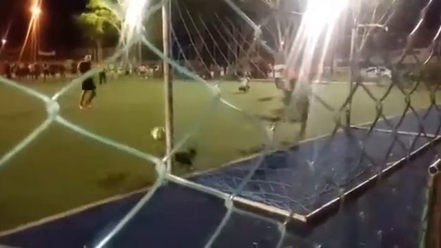 Собака отразила пенальти, во время матча! смотреть онлайн