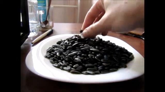 Дешёвые продукты Семечки за 6 рублей! смотреть онлайн