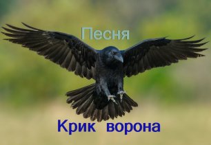 Песня  "Крик ворона"    Слова и музыка Надежды Карпенко ..