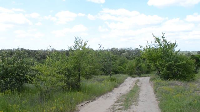 Красивый пейзаж смотреть онлайн