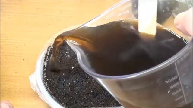 Посев вербены и уход за сеянцами. смотреть онлайн