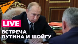 Шойгу докладывает Владимиру Путину о ходе спецоперации