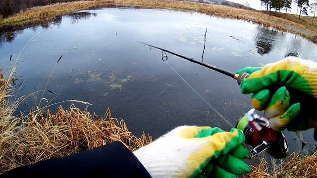 ЗАКРЫТИЕ СЕЗОНА 2020. Рыбалка на микро-речке. Ловля окуня на Микро - Джиг! смотреть онлайн