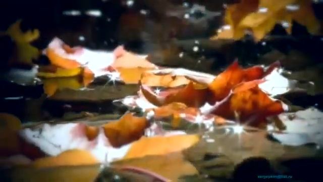 Женщина Осень смотреть онлайн