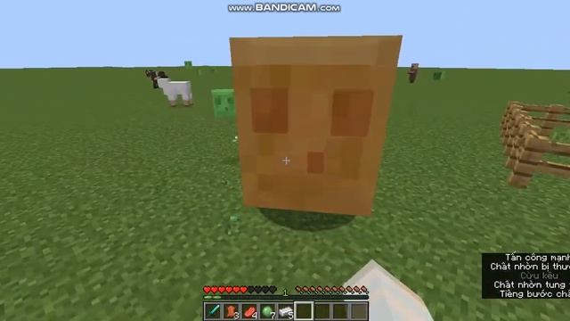 Minecraft morph mod 1.16.5 free download 2023(No linkvertise!) смотреть онлайн