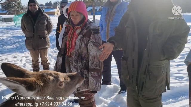 Фотосафари к диким животным / Байкал смотреть онлайн