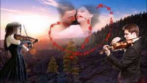 Плач скрипки