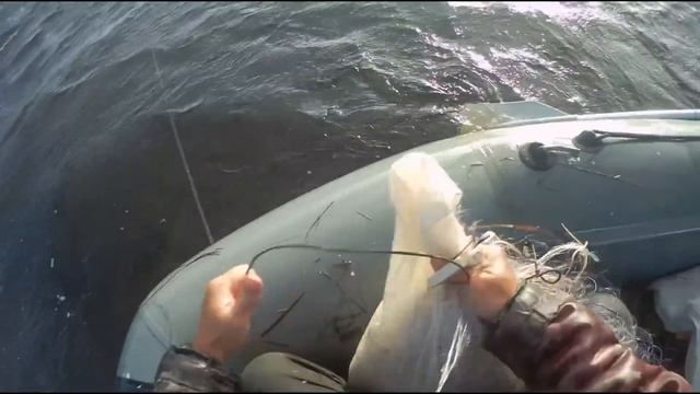 Рыбалка Сетями, Утро снимаем сеть, Рыбалка по большой воде 2 часть смотреть онлайн