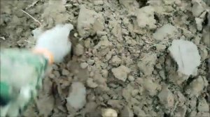 Т16пашня однокорпусным плугом.  Перепахиваем огороды 2023