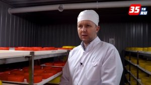Как программист стал сыроваром: история одной вологодской сыроварни