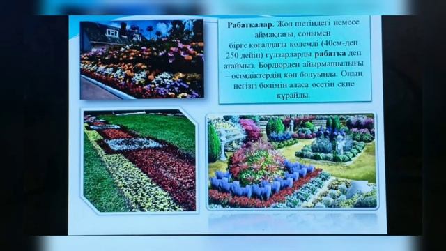 АКТиФ колледж смотреть онлайн