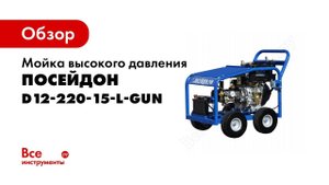 Мойка высокого давления Посейдон D12-220-15-L-Gun