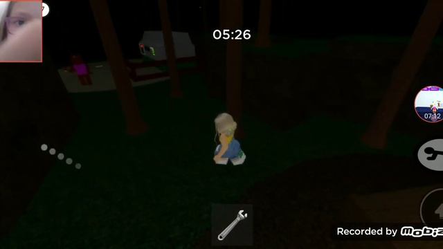 Играю в пиги