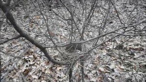 просто гуляем, отдыхаем от забот