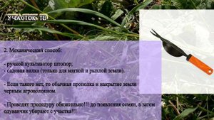 Как Избавиться от Одуванчика на Участке и На ГАЗОНЕ - ДЕЙСТВЕННЫЕ МЕТОДЫ
