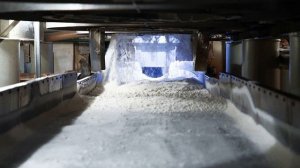Эксперт оценил последствия закрытия ряда сахарных заводов в России